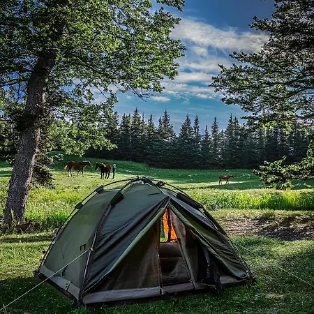 Langeland Glamping Luxury tent