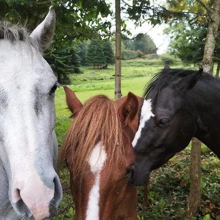 Langeland Glamping Lyxtält