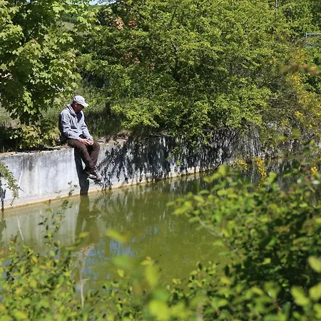 Langeland Glamping Lyxtält *