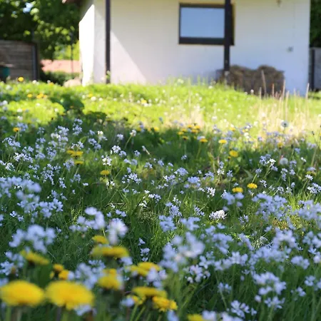 Lyxtält Langeland Glamping Rudkøbing